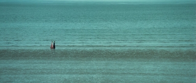 AHBR0779.jpg