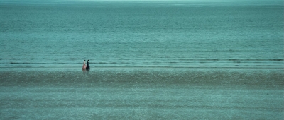 AHBR0780.jpg