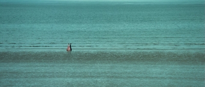 AHBR0781.jpg