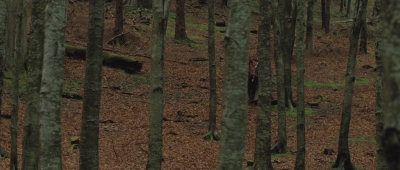 AHBR1034.jpg
