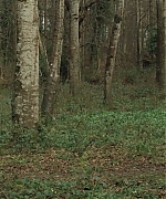 Filename=AHBR0155.jpg
Filesize=600KiB
Dimensions=1920x816
Date added=Oct 11, 2024 AHBR0155.jpg