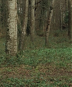 Filename=AHBR0156.jpg
Filesize=595KiB
Dimensions=1920x816
Date added=Oct 11, 2024 AHBR0156.jpg