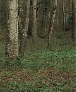 Filename=AHBR0157.jpg
Filesize=593KiB
Dimensions=1920x816
Date added=Oct 11, 2024 AHBR0157.jpg
