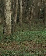 Filename=AHBR0158.jpg
Filesize=594KiB
Dimensions=1920x816
Date added=Oct 11, 2024 AHBR0158.jpg