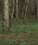 Filename=AHBR0159.jpg
Filesize=588KiB
Dimensions=1920x816
Date added=Oct 11, 2024 AHBR0159.jpg