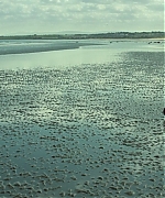 AHBR0799.jpg