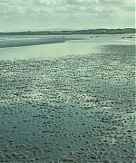 AHBR0800.jpg