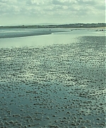 AHBR0801.jpg