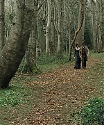 AHBR0934.jpg