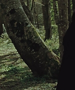 AHBR0971.jpg