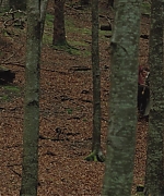 AHBR1034.jpg