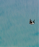 AHBR289.jpg