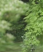 AHBR001.jpg