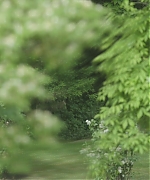 AHBR002.jpg