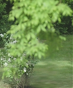 AHBR008.jpg