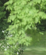 AHBR009.jpg