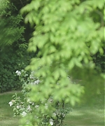 AHBR010.jpg