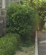 AHBR707.jpg