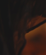 AHBR002.jpg