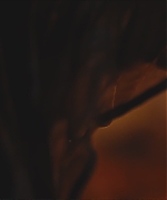 AHBR003.jpg