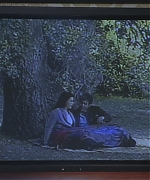 AHBR1750.jpg