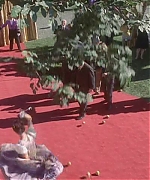 AHBR040.jpg