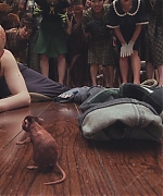 AHBR575.jpg